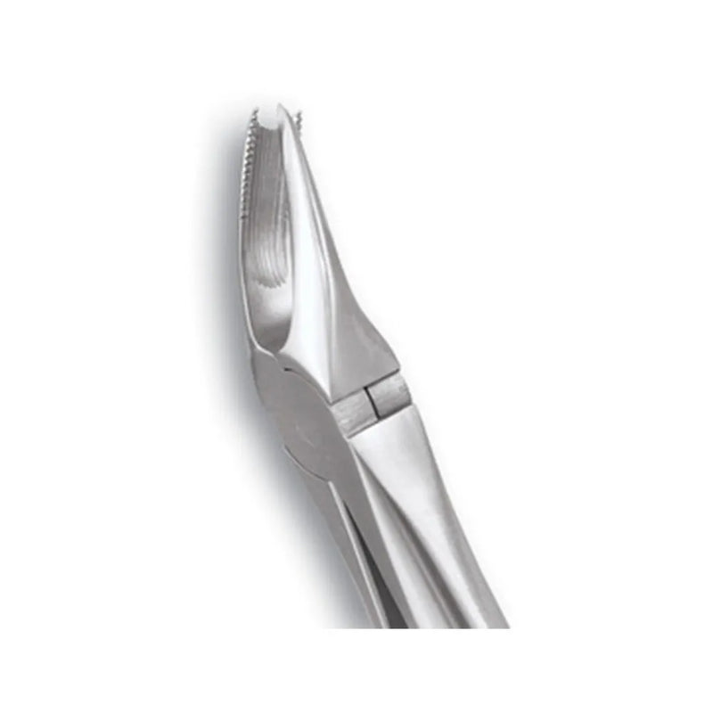 Gdc - Forceps Upper Molar Right(Fx89S)