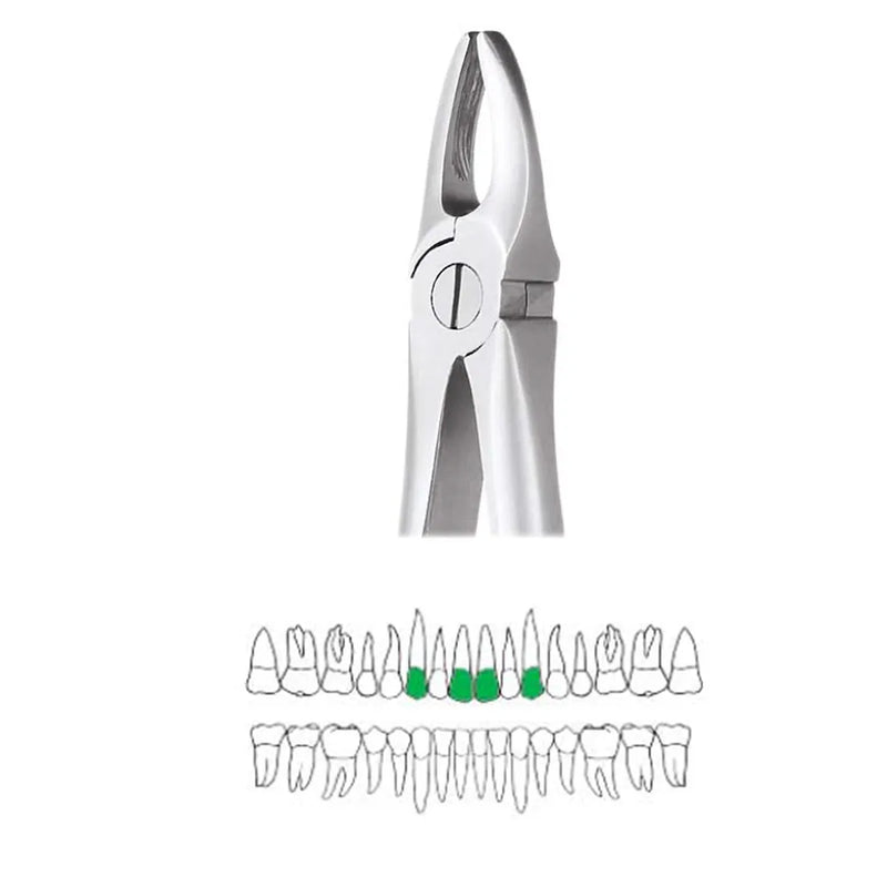 GDC Extraction Forceps | Upper Anteriors | 1 Standard (FX1S)