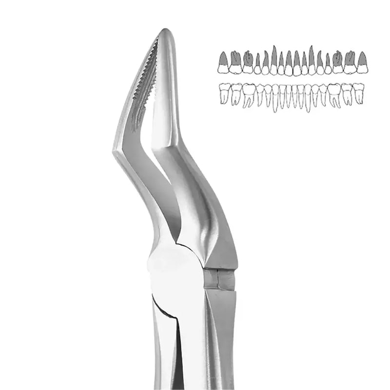 GDC Upper Roots Extraction Forcep No.51A (FX51AS)