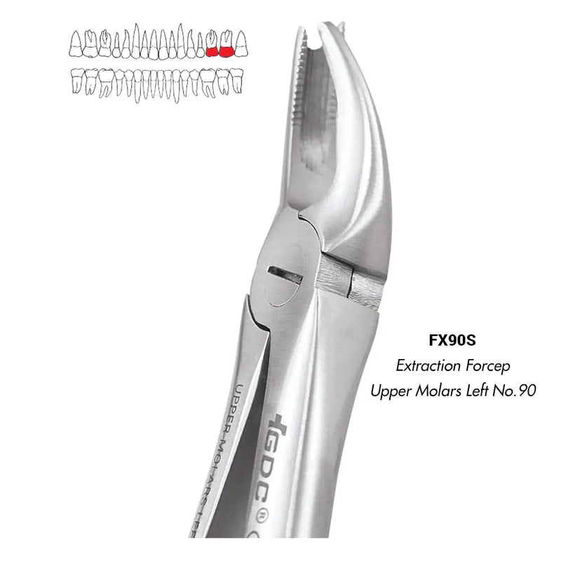 GDC Upper Molars Left No. 90 (FX90S) Extraction Forcep