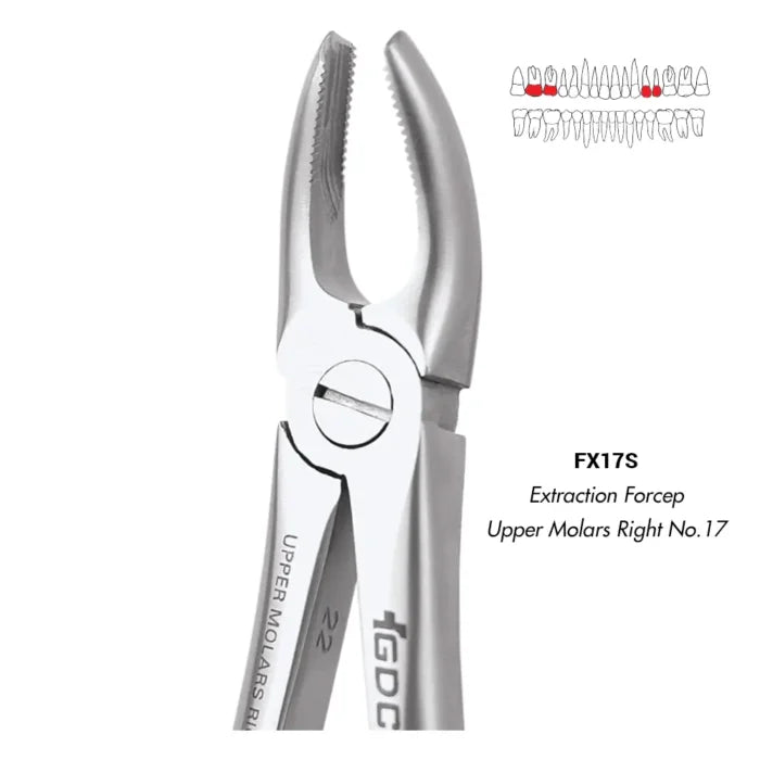 GDC | Extraction Forceps Upper Molars Right No.17 | (FX17S)