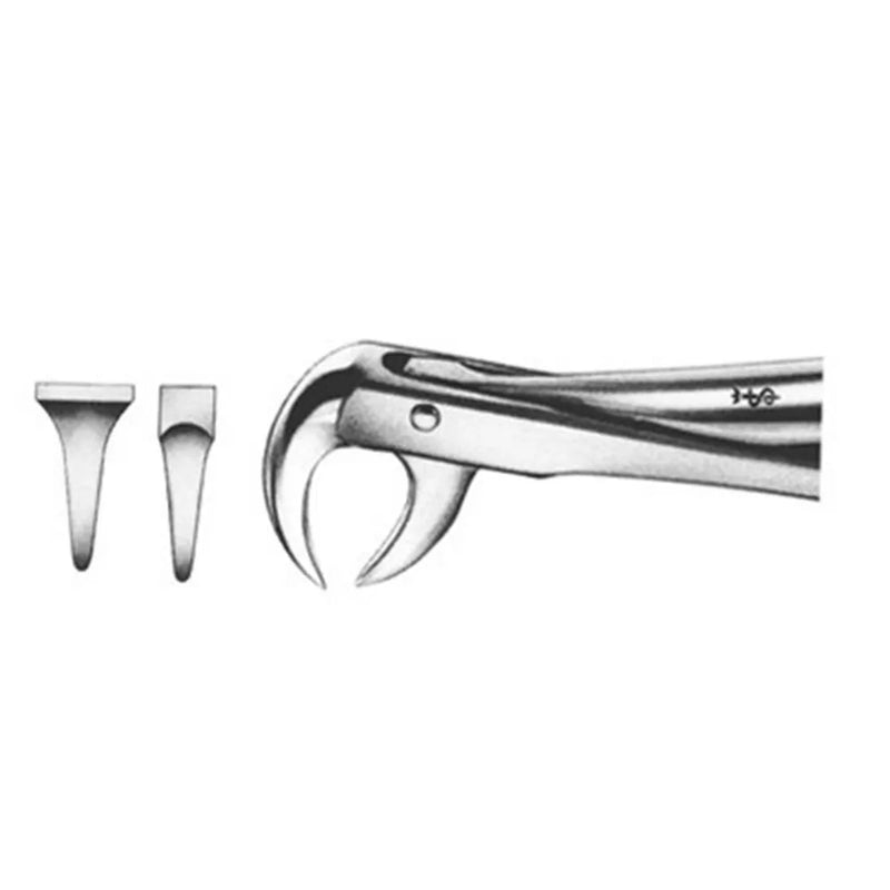 GDC | Extraction Forceps Lower Molars | 86 Standard (FX86S)