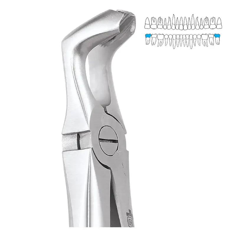 GDC | Extraction Forceps Lower Third Molars | 79 Standard (FX79S)