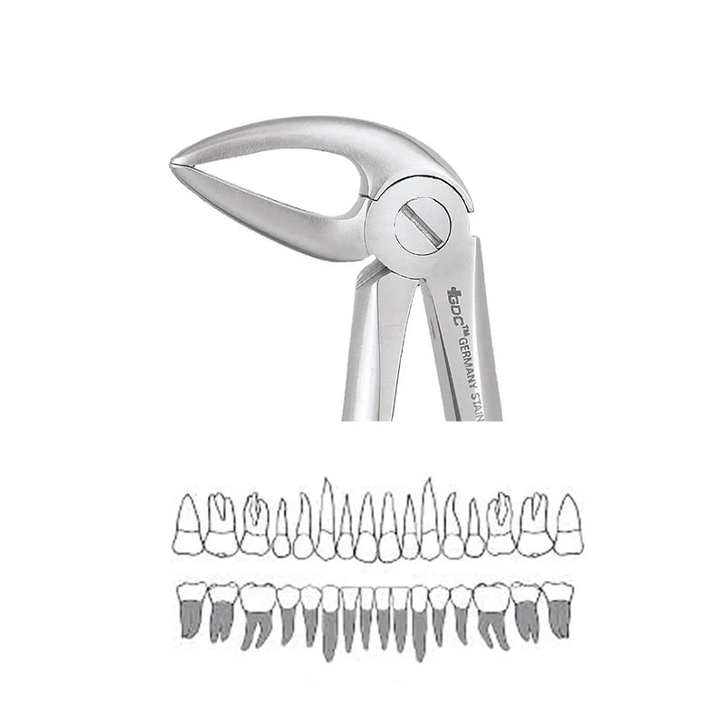 GDC | Extraction Forceps Lower Roots | 33L Standard | (FX33LS)