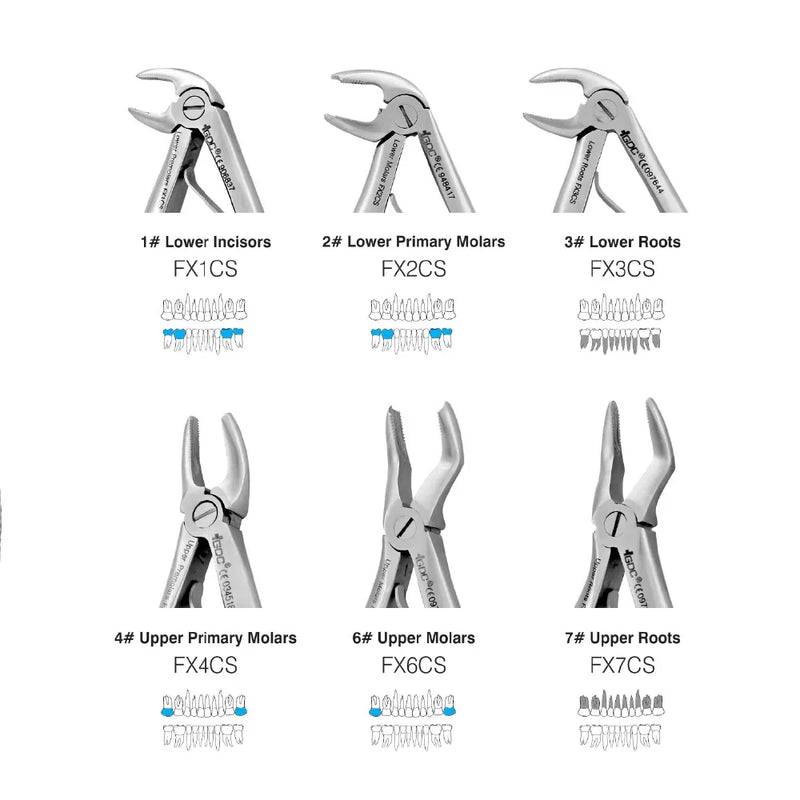 GDC | Extraction Forceps | Pedo