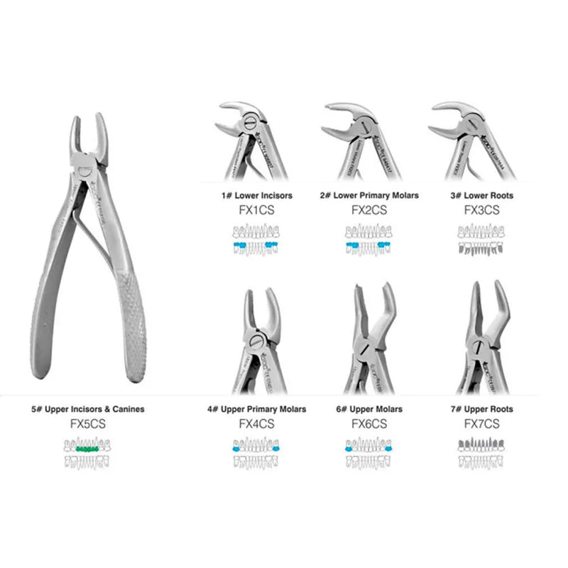 GDC | Extraction Forceps Pedo | Set Of 7 In Pouch | Standard (EFPSP7)